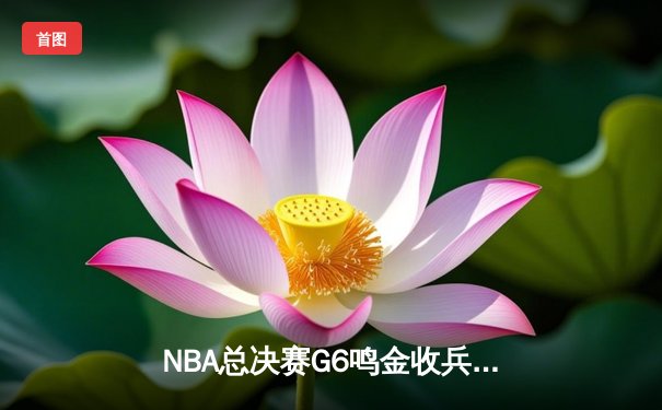 NBA总决赛G6鸣金收兵：丹佛掘金主场力克热火，约基奇三双率队捧起队史首冠